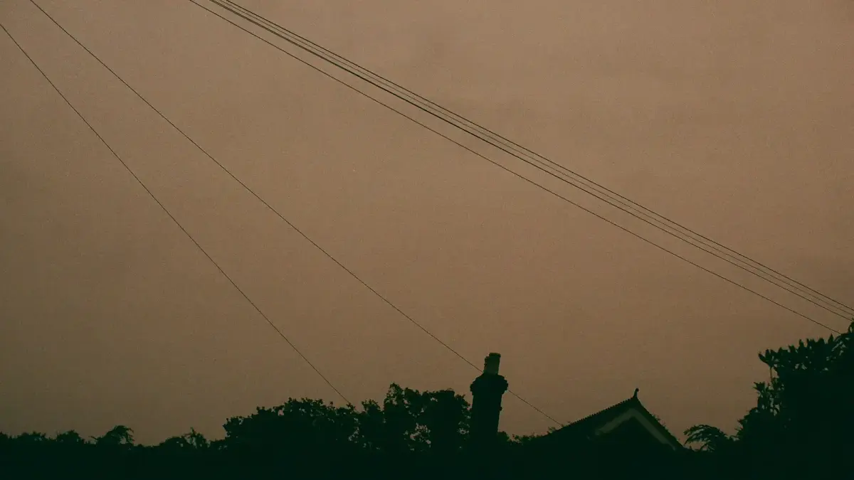 Silhouette of a person on a rooftop at dusk.
