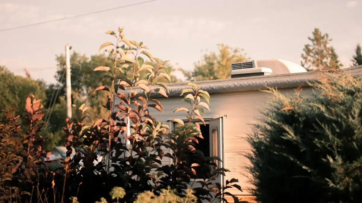 green plants near brown concrete house during daytime