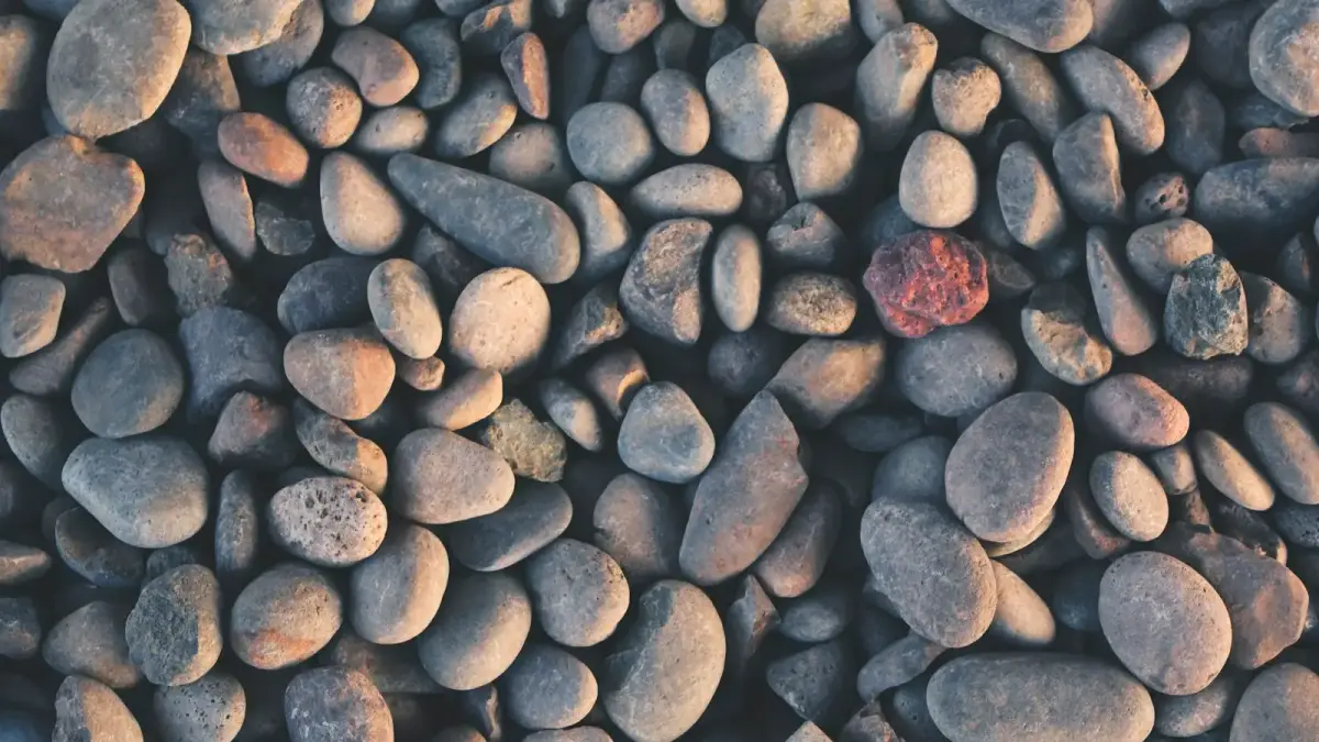 gray stone lot