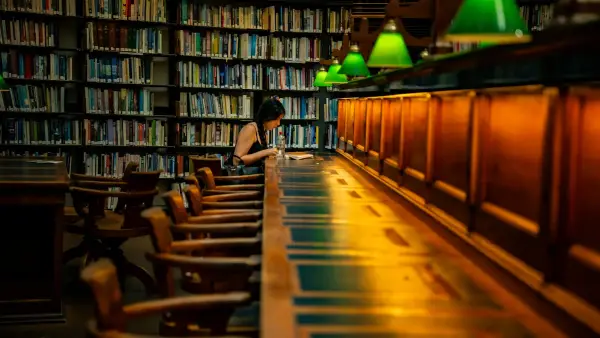 A person in warm light, the quiet weight of someone who learned that asking why was the same as talking back