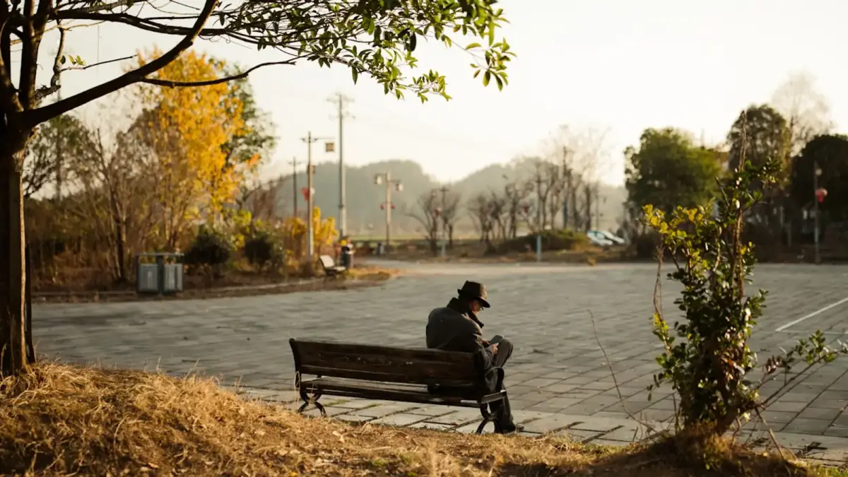 a person sitting on a bench near a tree