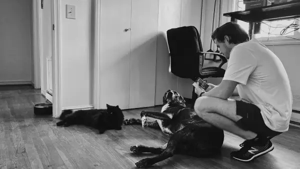 man in white t-shirt sitting beside black short coated dog