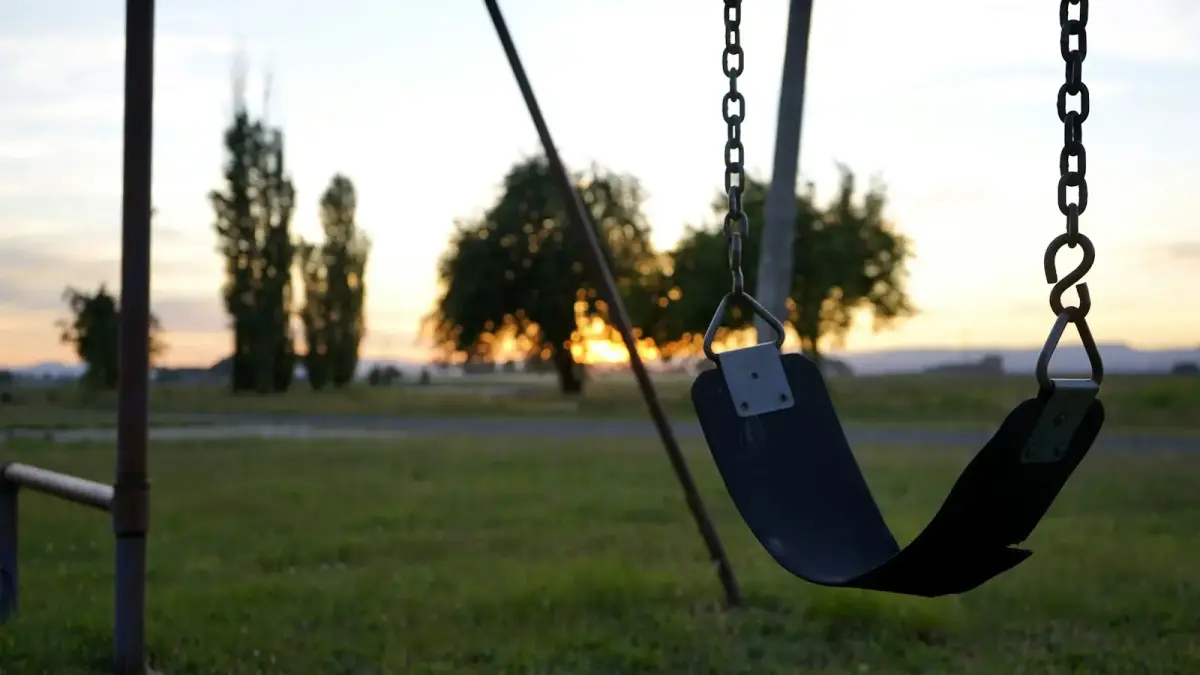 swing across green trees