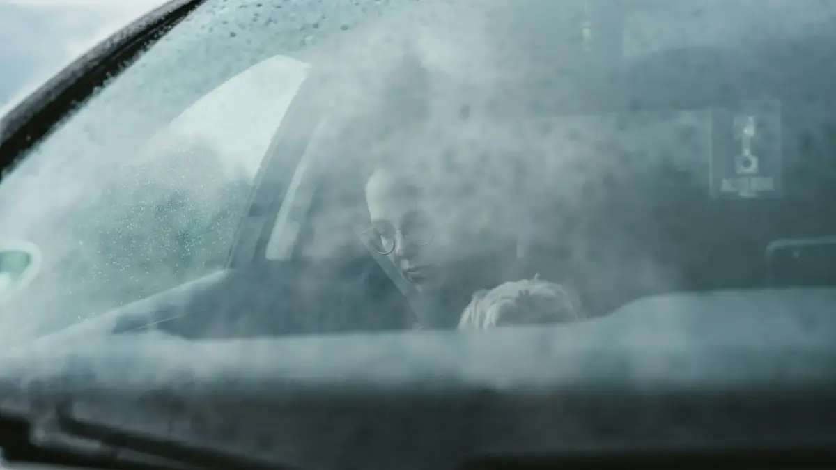 person in black jacket driving car