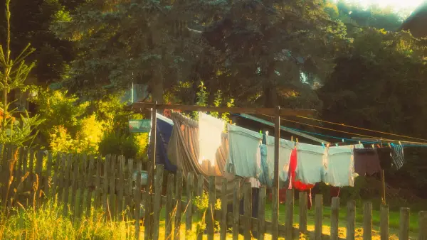 Clothes drying on a clothesline in a sunny backyard