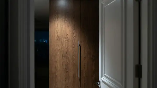 A modern wooden door with a spotlight above