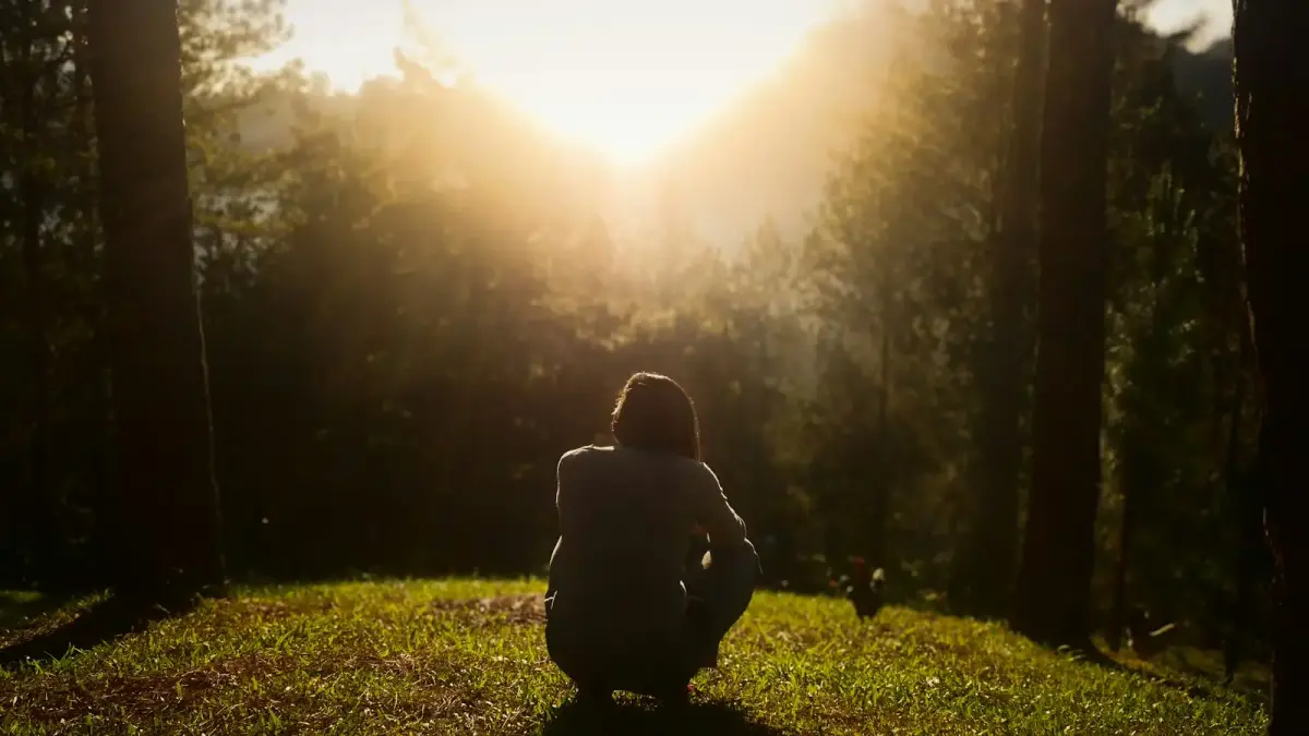 Person crouching in forest at sunset