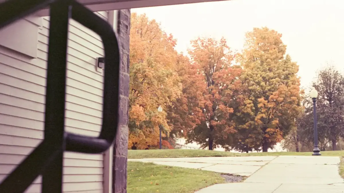 Autumn trees frame a park's path and view.