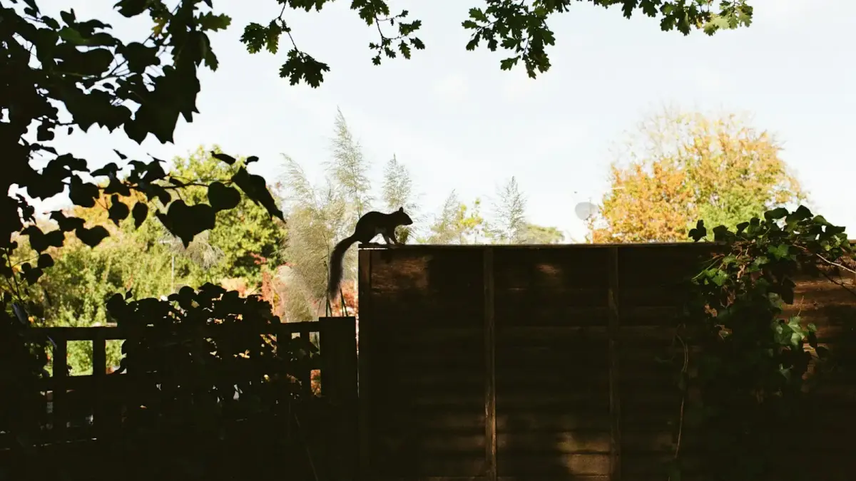 A squirrel perched on a wooden fence outdoors.