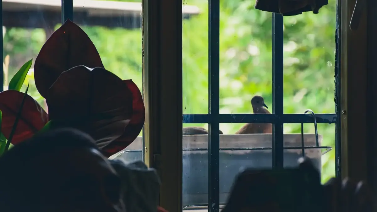 person in red hoodie sitting on chair