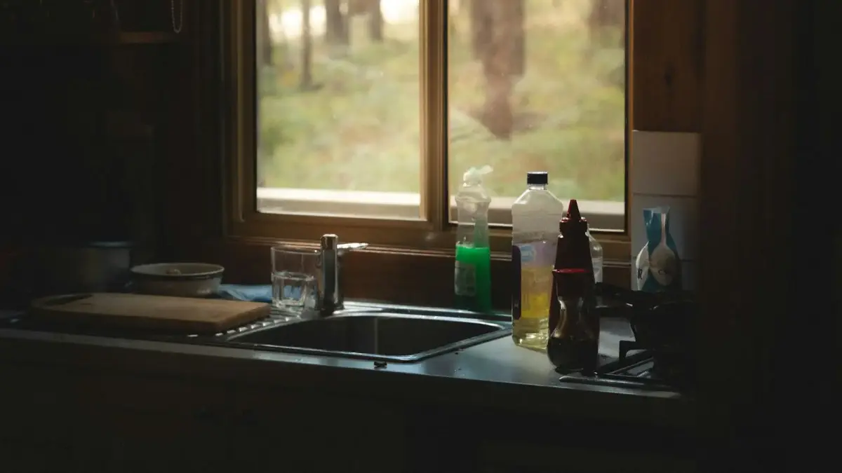 Kitchen sink with window overlooking forest