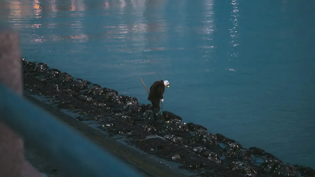 Bald eagle on a mussel-covered shore by calm water