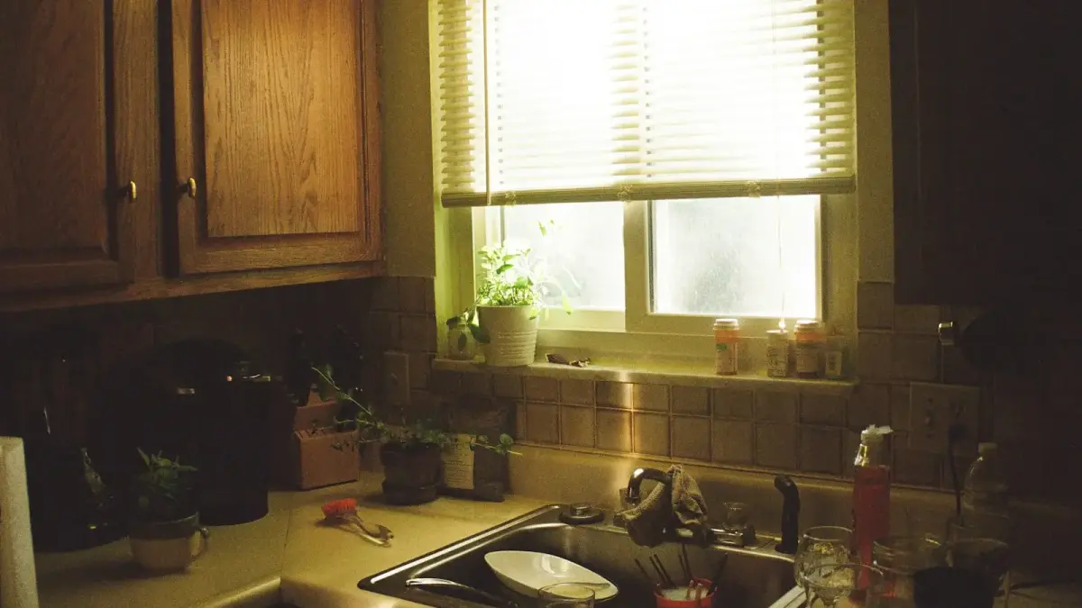stainless steel sink with faucet