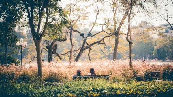 2 person sitting on bench under tree during daytime
