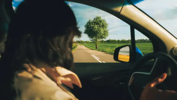 Person driving on a road with a tree