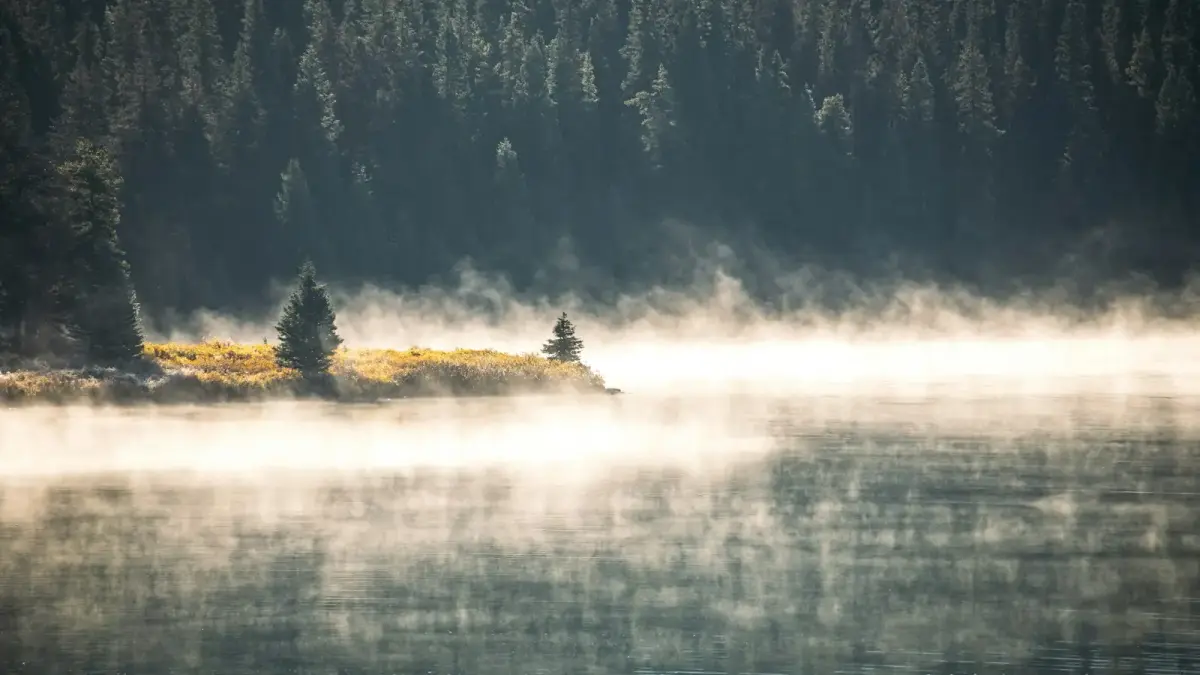 Mist rises from a serene lake with a forested shoreline.