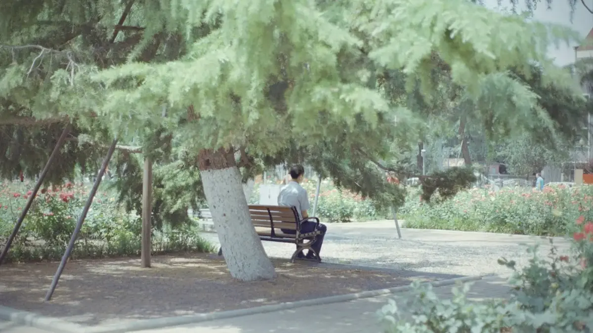 man in black jacket sitting on bench under green tree during daytime