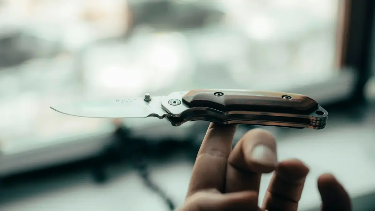 person holding silver and brown pocket knife