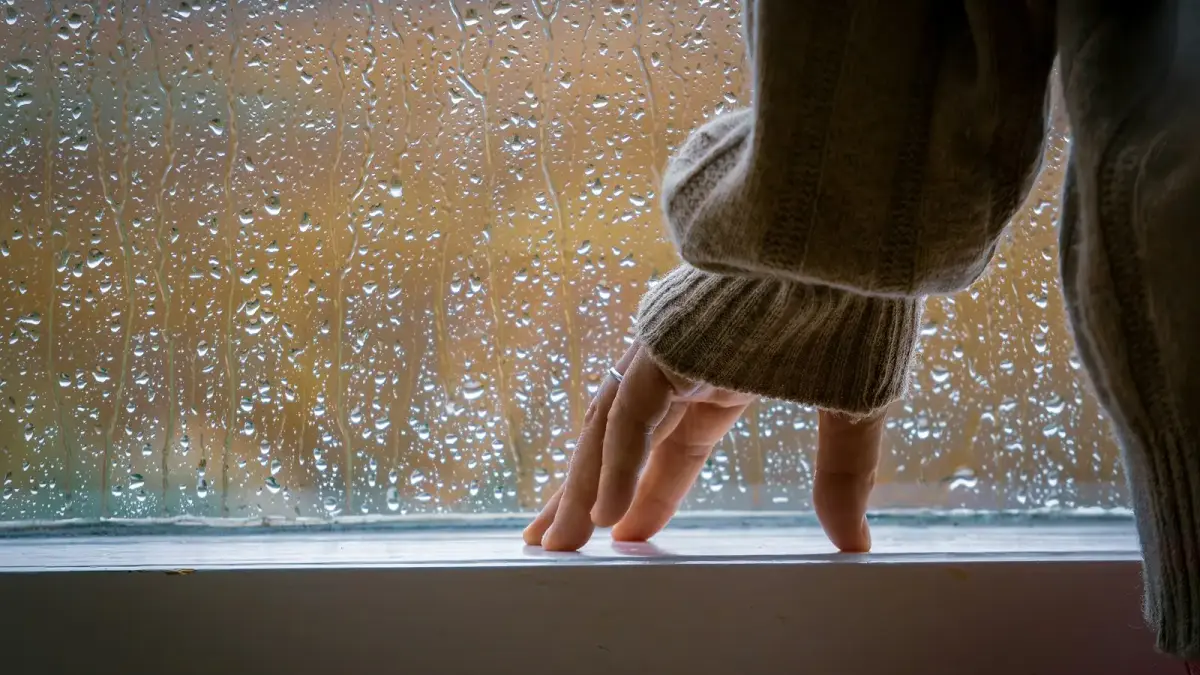 a person standing on a window sill in the rain