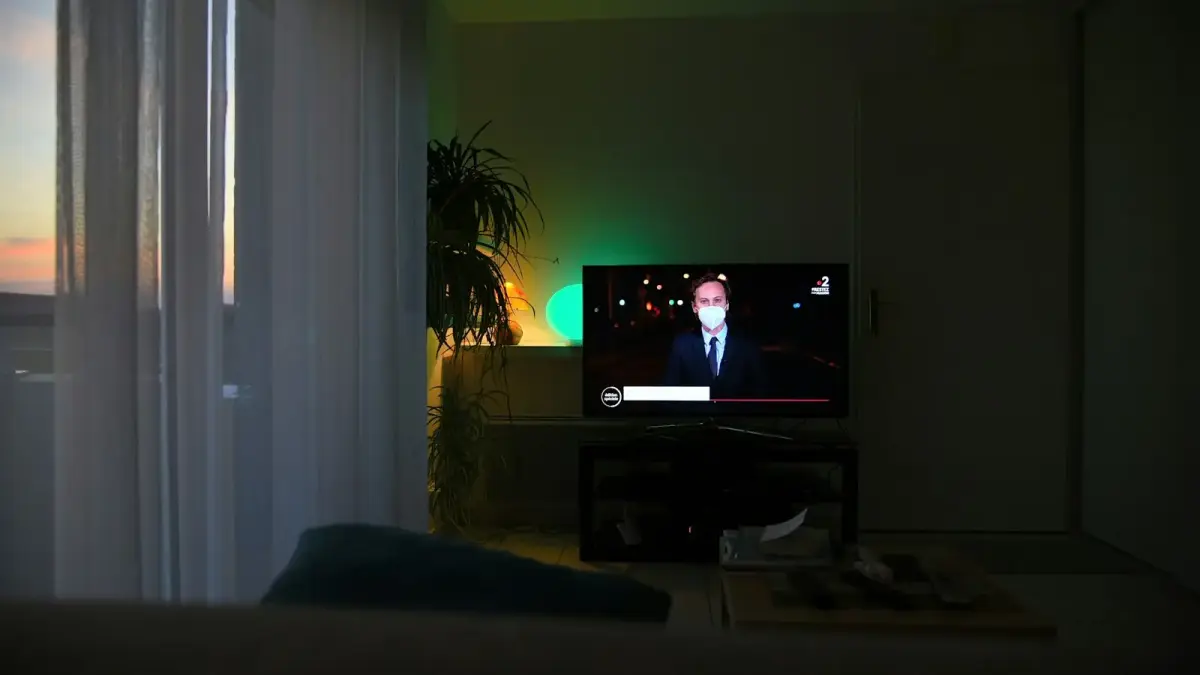 black flat screen tv turned on near green indoor plant