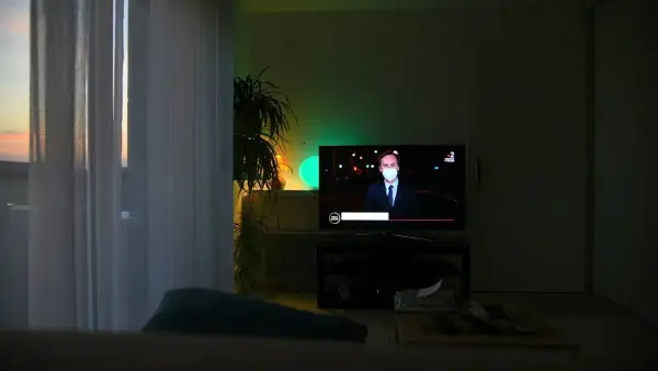 black flat screen tv turned on near green indoor plant