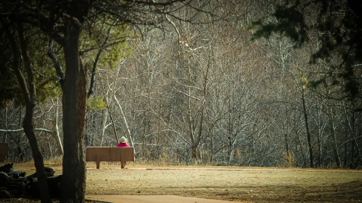 a person sitting on a bench in a park
