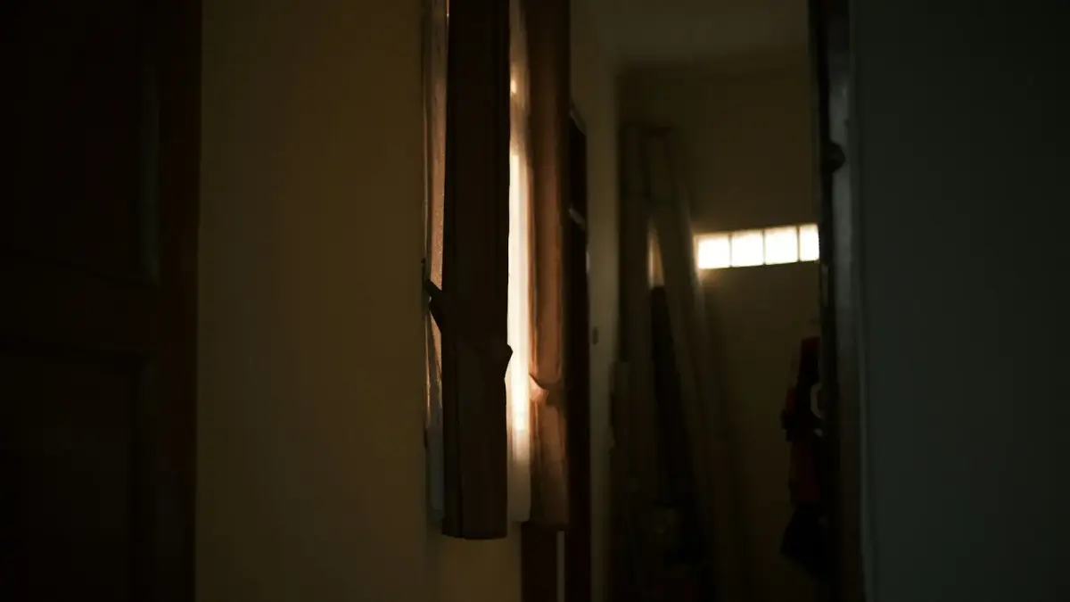 Sunlight streams through a doorway, illuminating curtains