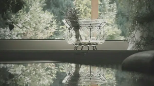 clear glass bowl on window