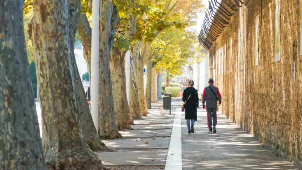 Two people walk down a tree-lined sidewalk