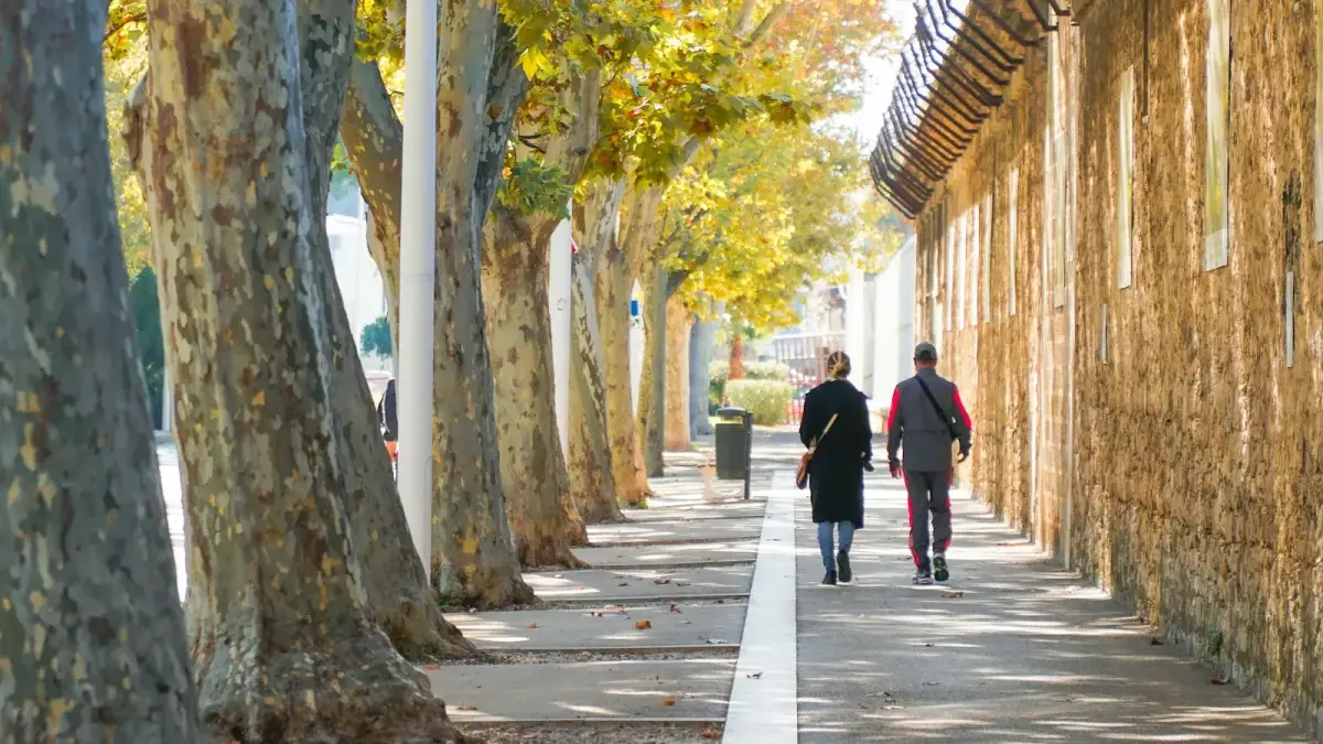 Two people walk down a tree-lined sidewalk
