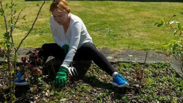 a person planting a tree